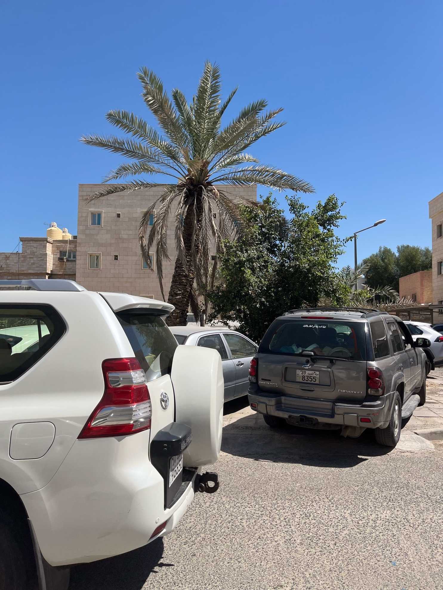 صورة مصغرة 4