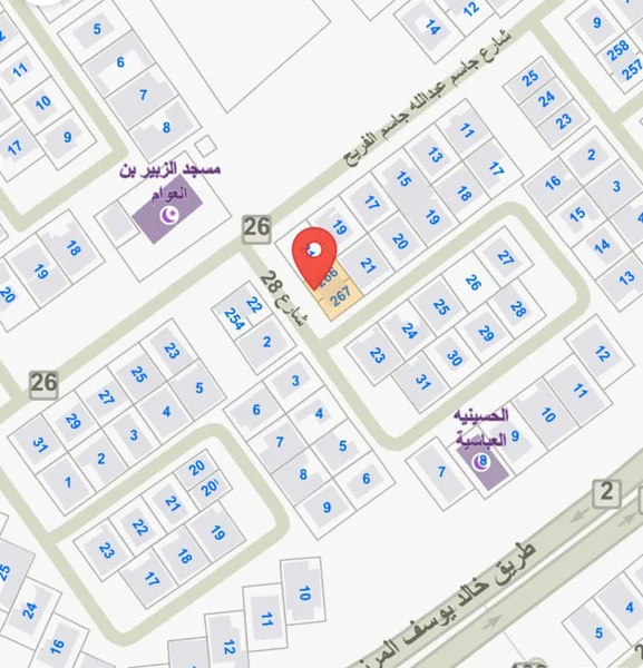 صورة العقار