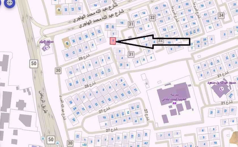 صورة مصغرة 2