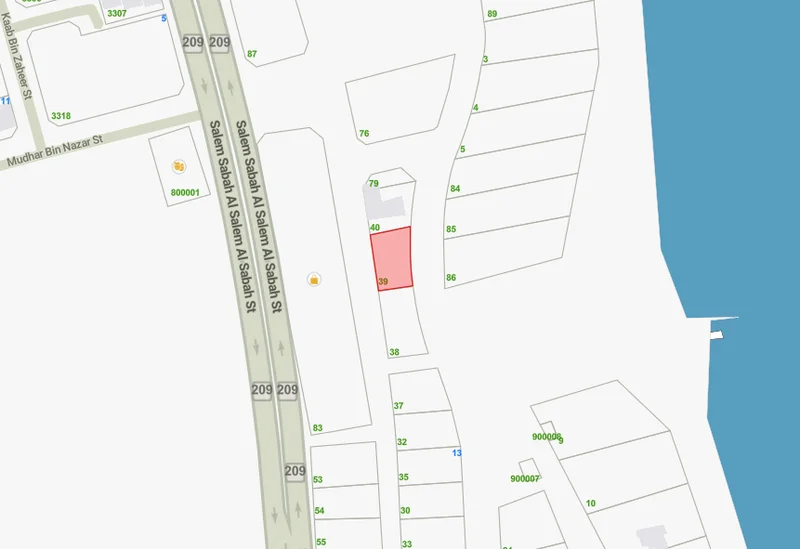 صورة العقار