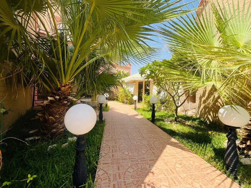 صورة مصغرة 13