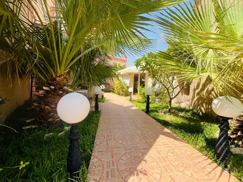 صورة مصغرة 14