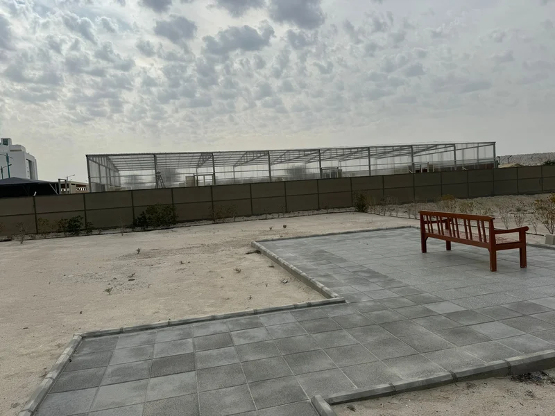 صورة مصغرة 11