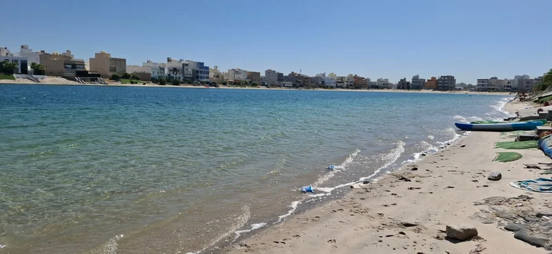 صورة مصغرة 13