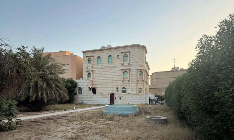 صورة العقار