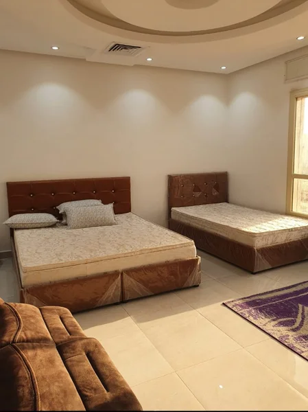 صورة مصغرة 8