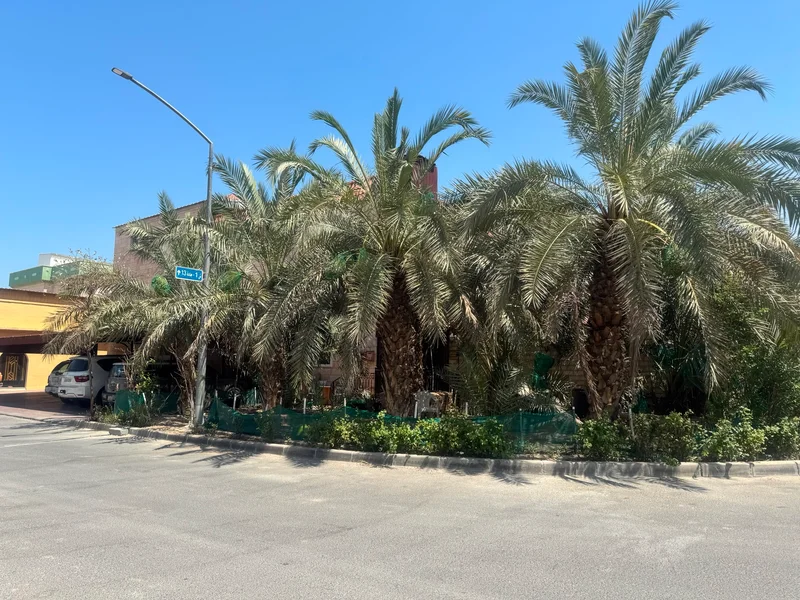 صورة مصغرة 8