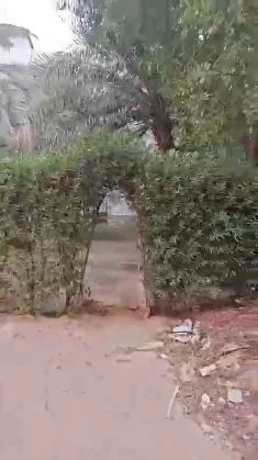 صورة مصغرة 4